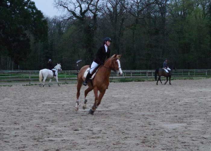 Cours d’équitation Pithiviers