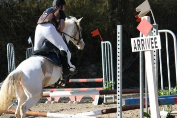 stage équitation Pithiviers