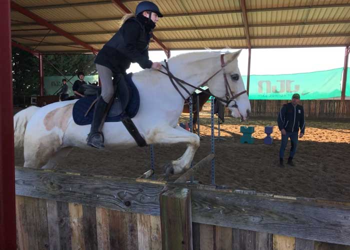 pension chevaux Pithiviers